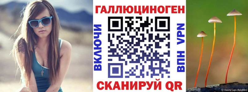 Псилоцибиновые грибы Psilocybe  Купить  Десногорск 
